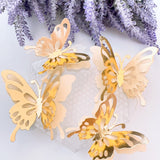 Butterfly Elegance Die